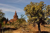 Bagan Myanmar. Minor temples near the Payathonzu. 